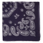 Needles Purple Paisley Scarf