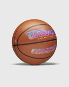 Wilson Evo Editions 2024 Autism Speaks Basketball Size 7 Brown Sports Equipment