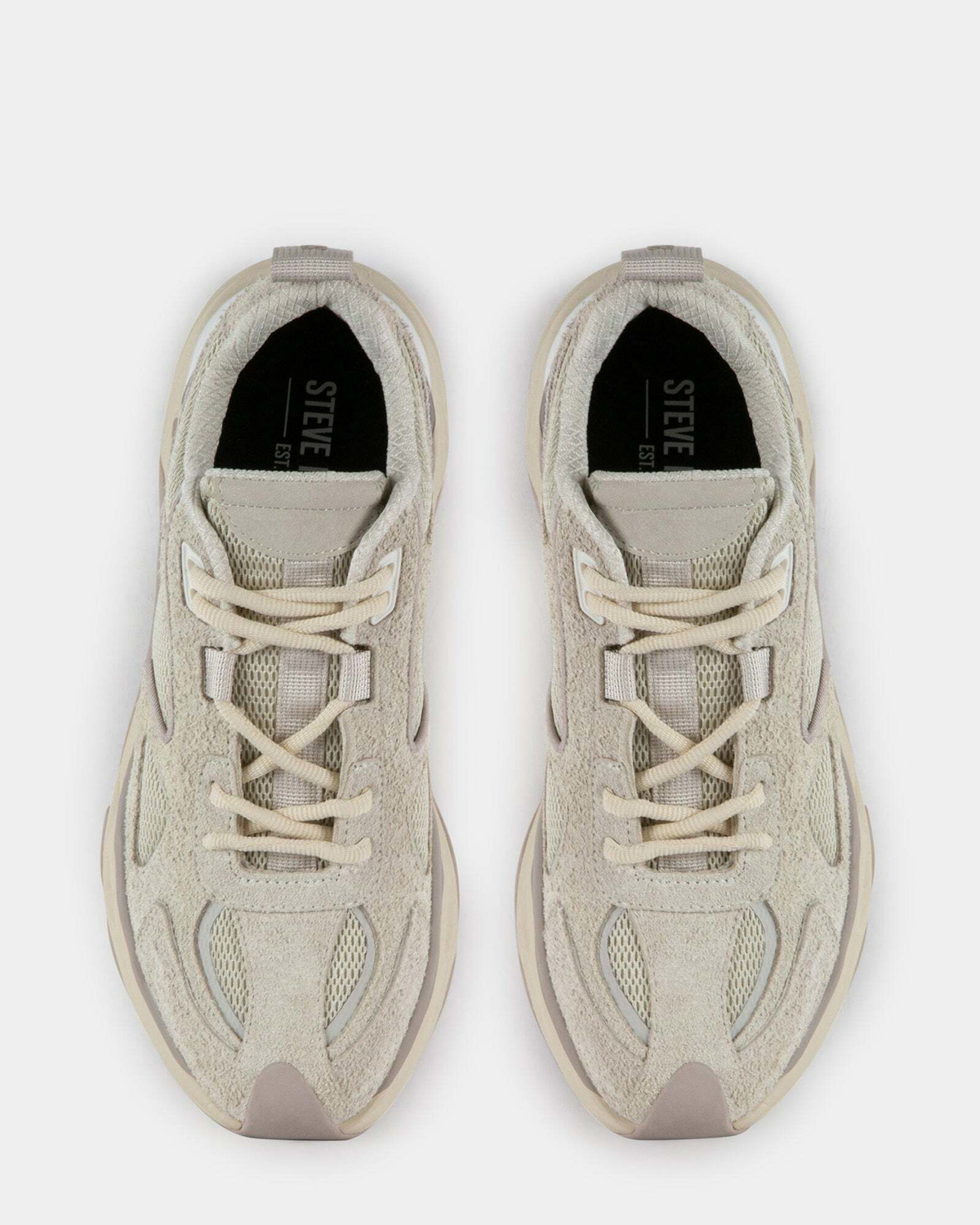 Steve Madden Serpent Sneakers in Off White
