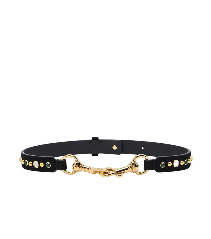 Photo: Etro Pony embellished suede belt