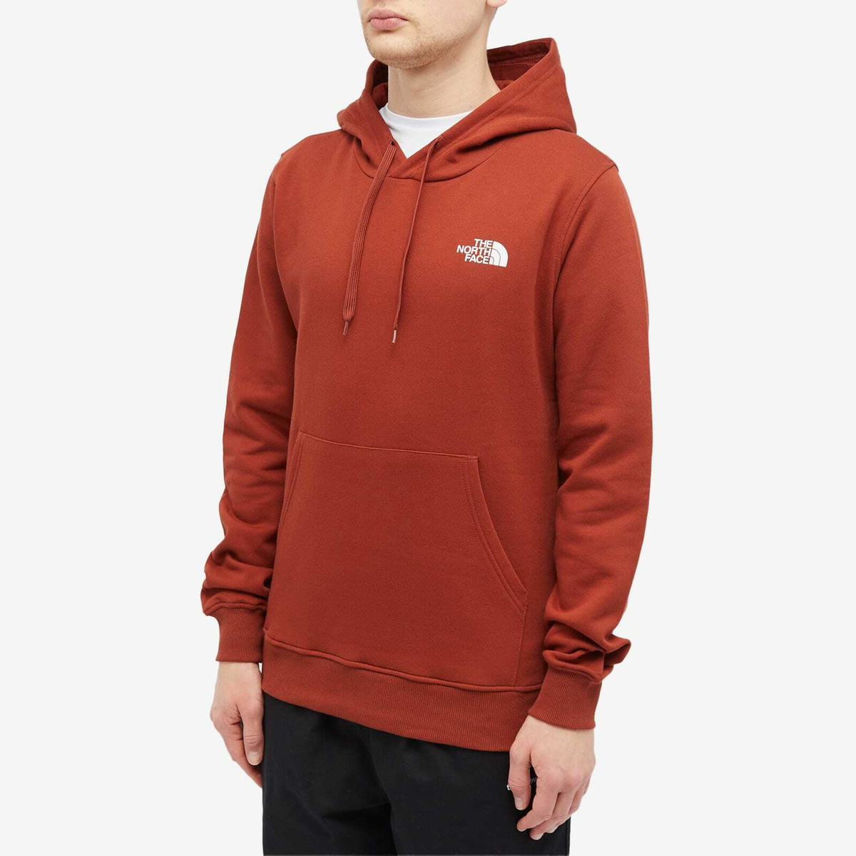 The North Face Men's Seasonal Graphic Hoodie in Brandy Brown
