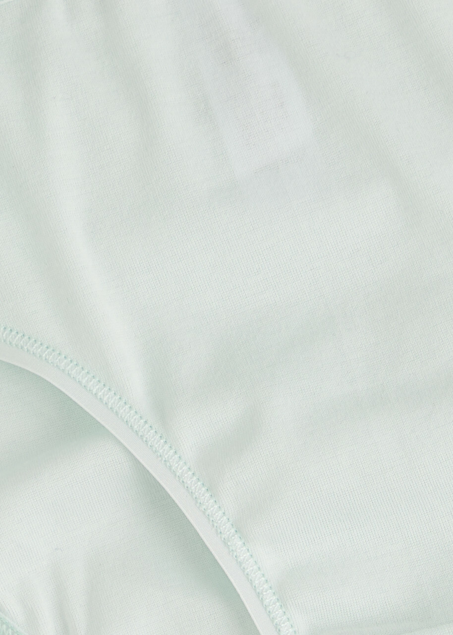 Hanro Cotton Seamless Briefs Light Blue