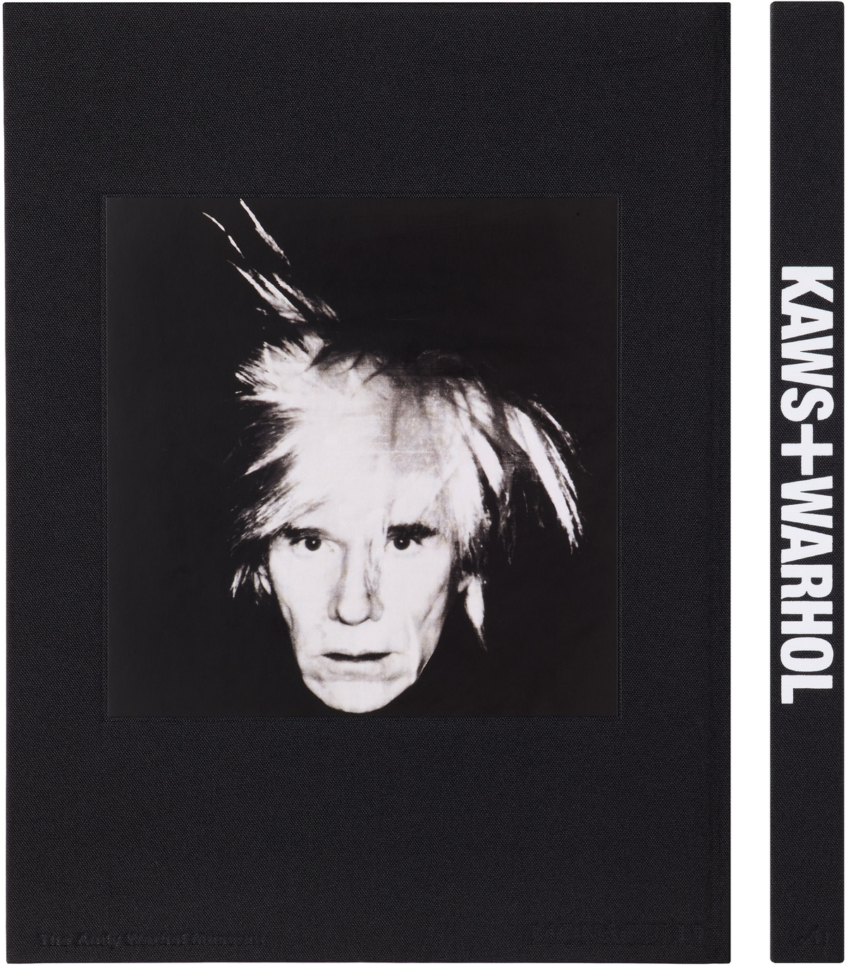 Phaidon KAWS + Warhol