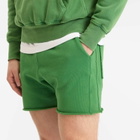 Les Tien Men's s Heavyweight Yacht Sweat Short in Washed Basil