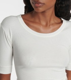 Calvin Klein Collection Ribbed-knit cotton-blend top