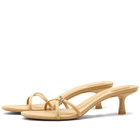 Alexander Wang Women's Dahlia 50cm Sandal Heels in Whey