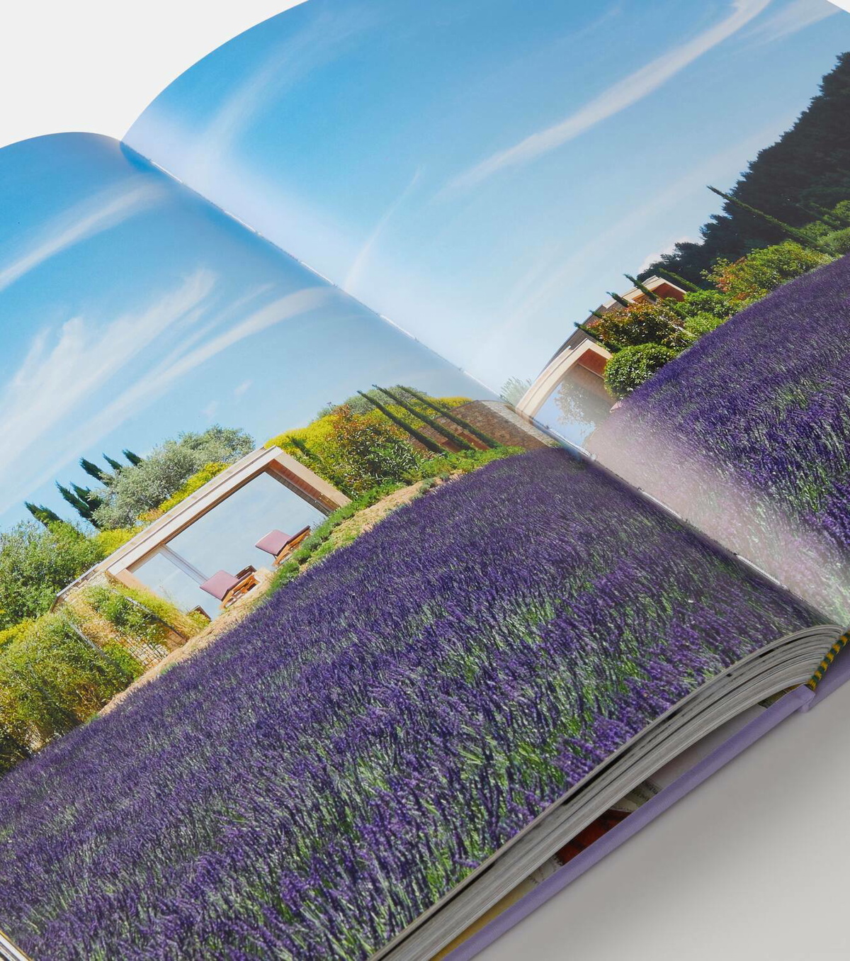 Assouline Provence Glory book