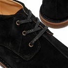 Astorflex Men's Countryflex Shoe in Black