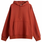 Nike Wool Classics Hoodie in Mars Stone