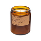 P.F. Candle Co No.05 Spruce Soy Candle in 204g