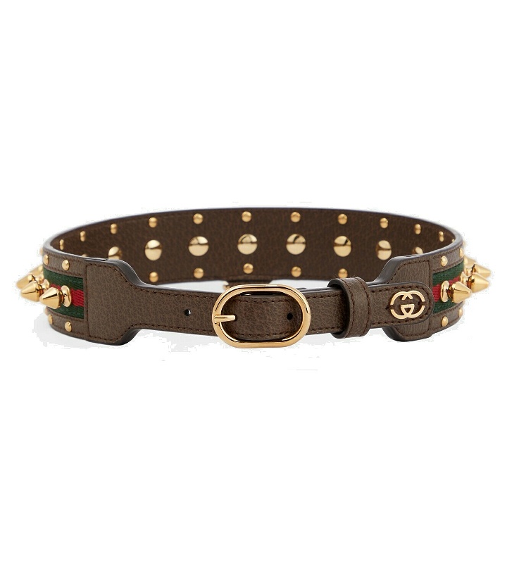 Photo: Gucci - Web Stripe M/L faux leather dog collar