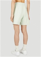 Basic Shorts in Light Green
