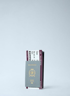Balenciaga Passport Long Wallet