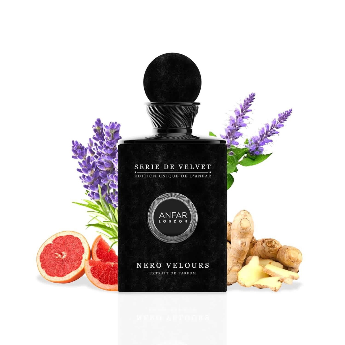 Anfar Mens Nero Velours Extrait de Parfum Spray 3.4 oz Fragrances 6292257643541