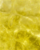 Haeckels Bladderwrack + Fennel Hand Wash   450 Ml Multi - Mens - Face & Body