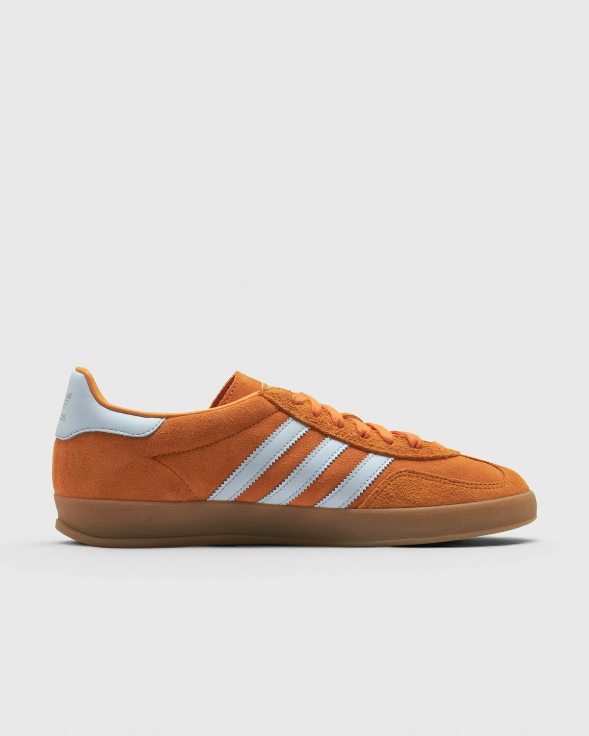 GAZELLE INDOOR