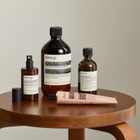 Aesop Screen 1 Elaborate Home Offering Set in Multi 