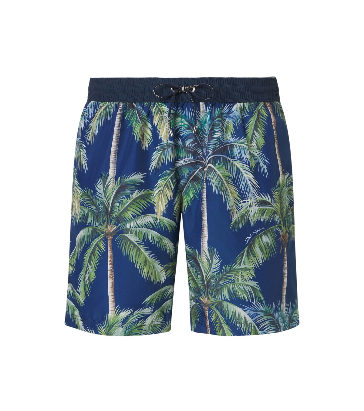 Dolce & Gabbana Men's Leopard Print Swim Shorts in Brown Dolce