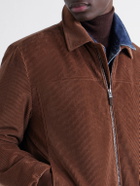 Canali - Padded Cotton-Corduroy Blouson Jacket - Brown