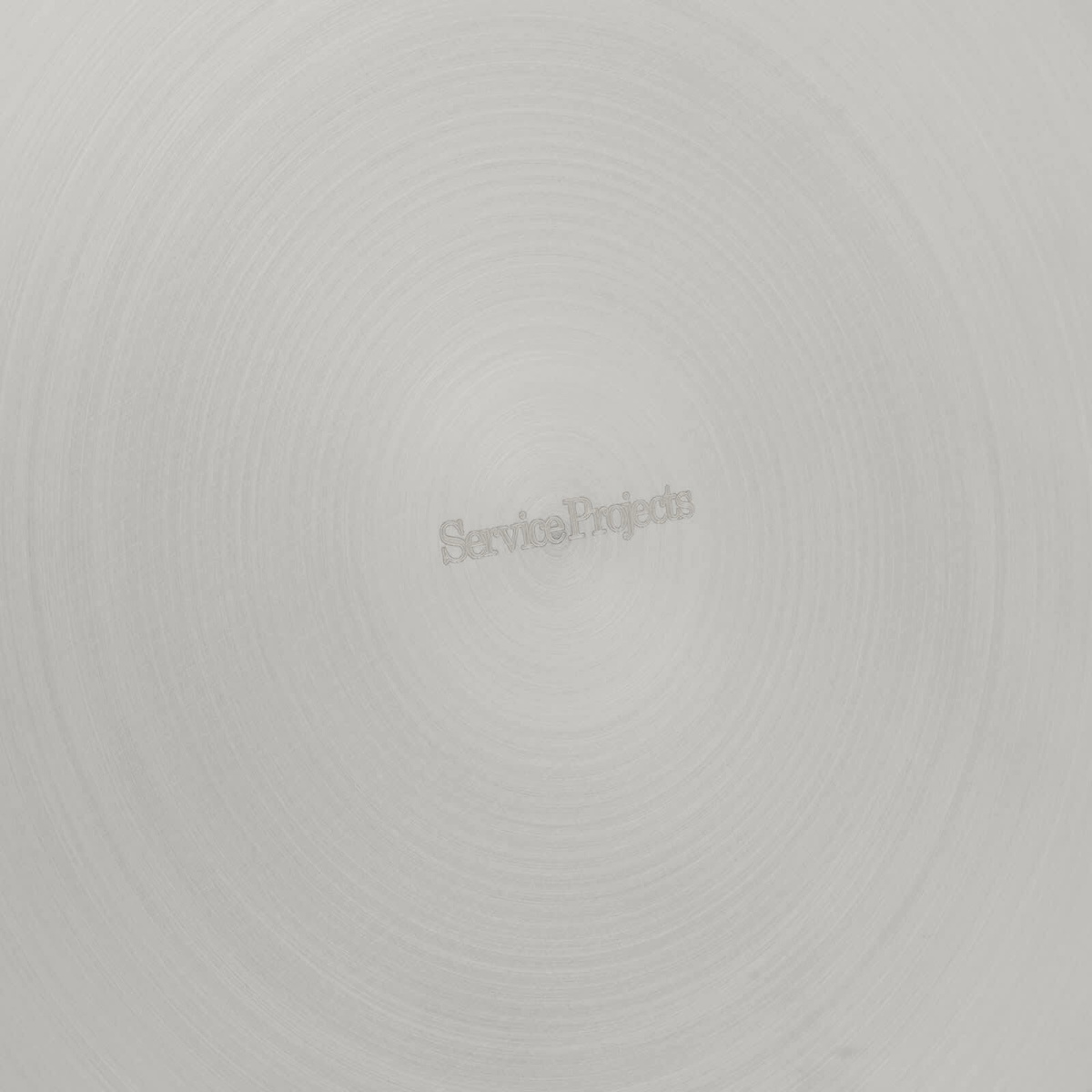 Service Projects Pasta Plate - Set of 2 in Stainless Steel 