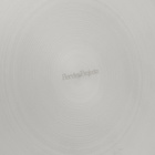 Service Projects Pasta Plate - Set of 2 in Stainless Steel 