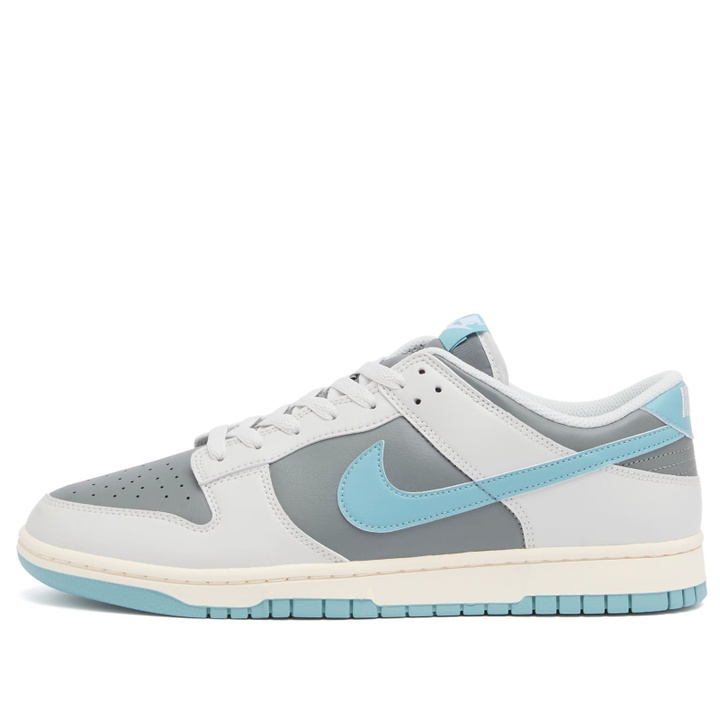 Photo: Nike Men's Dunk Low Retro Se Sneaker in Photon/Denim/Grey