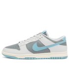 Nike Men's Dunk Low Retro Se Sneaker in Photon/Denim/Grey