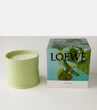 Loewe Home Scents Cucumber Medium scented candle