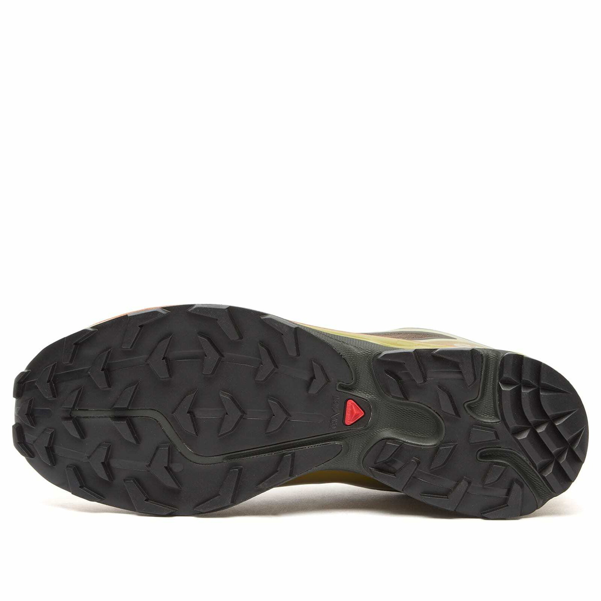 Salomon XT-6 GTX Sneaker in Delicioso/Tea/Plantation