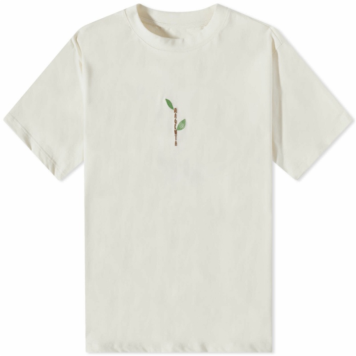 Photo: Magenta Men's Tree Plant T-Shirt in Natural
