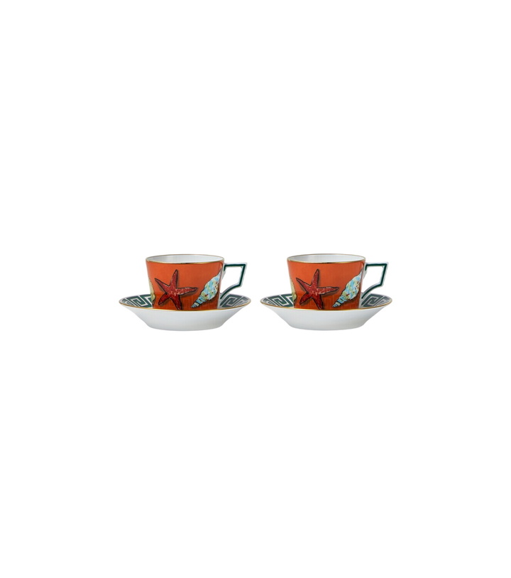 Photo: Ginori 1735 Il Viaggio Di Nettuno set of 2 teacups and saucers