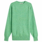 YMC Men's Suedehead Crew Neck Jumper in Green