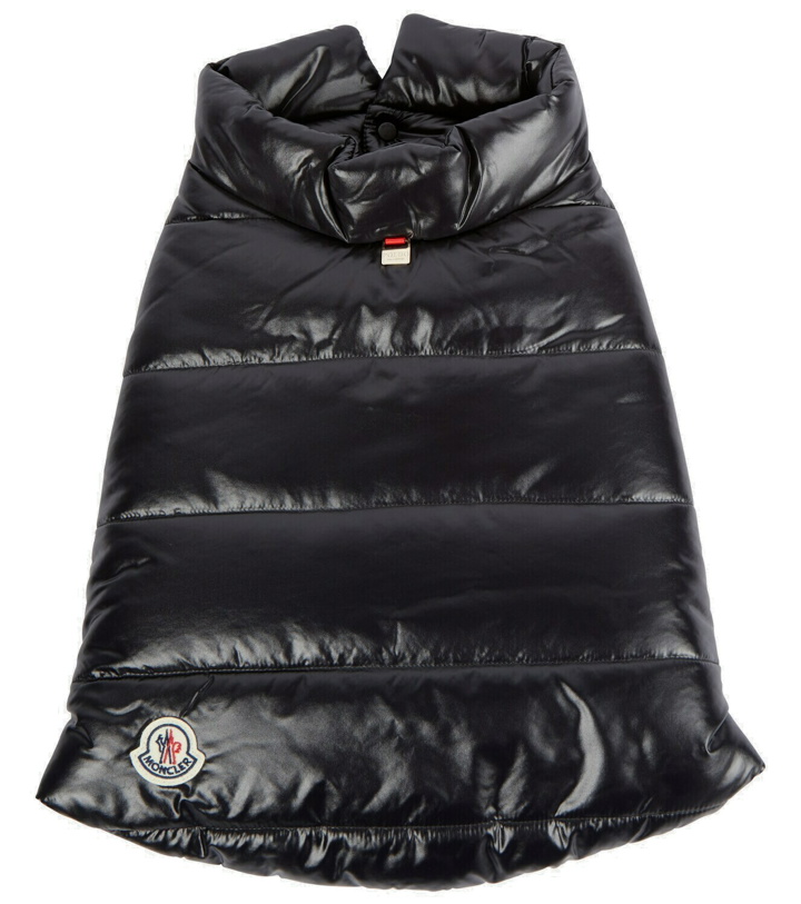 Photo: Moncler Genius - x Poldo Dog Couture dog coat