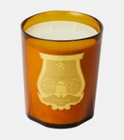 Trudon Altaïr Grande scented candle