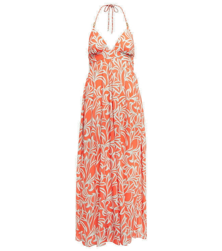 Photo: Heidi Klein Coral Gardens printed maxi dress