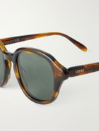 LOEWE - Slim Havana Round-Frame Acetate Sunglasses