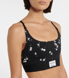 Adam Selman Sport Stretch-nylon sports bra