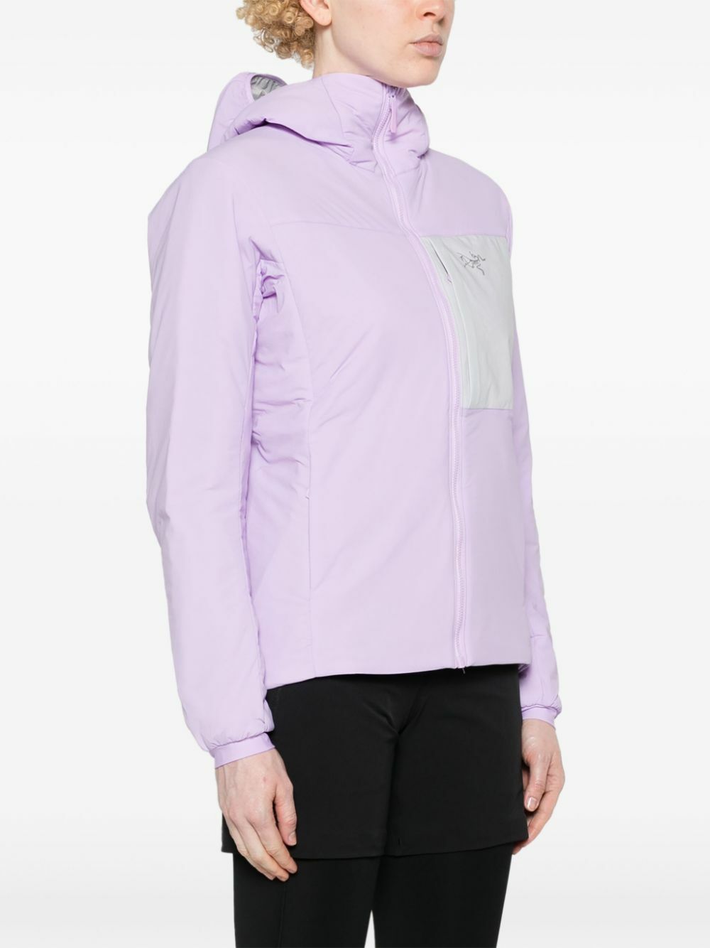 ジャケット Arc'teryx Jackets Purple Arcteryx Sentinel Jacket Womens Ski Jacket Gore-Tex