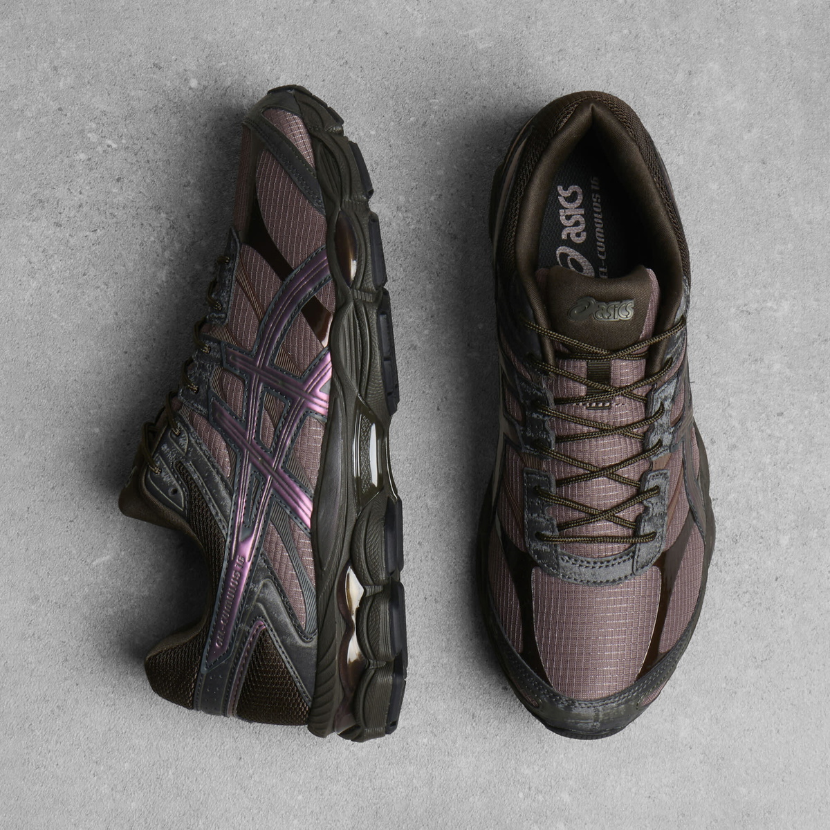 Asics GEL-CUMULUS 16 Sneaker in Cocoa Powder/Black