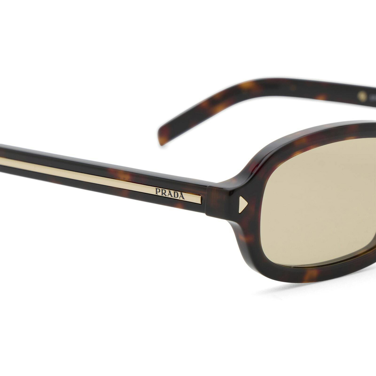 Prada Eyewear D06S Sunglasses in Root Tortoise/Light Brown 