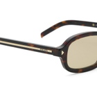 Prada Eyewear D06S Sunglasses in Root Tortoise/Light Brown 