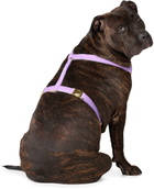 See Scout Sleep Purple The Scot Extra Large Original Harness