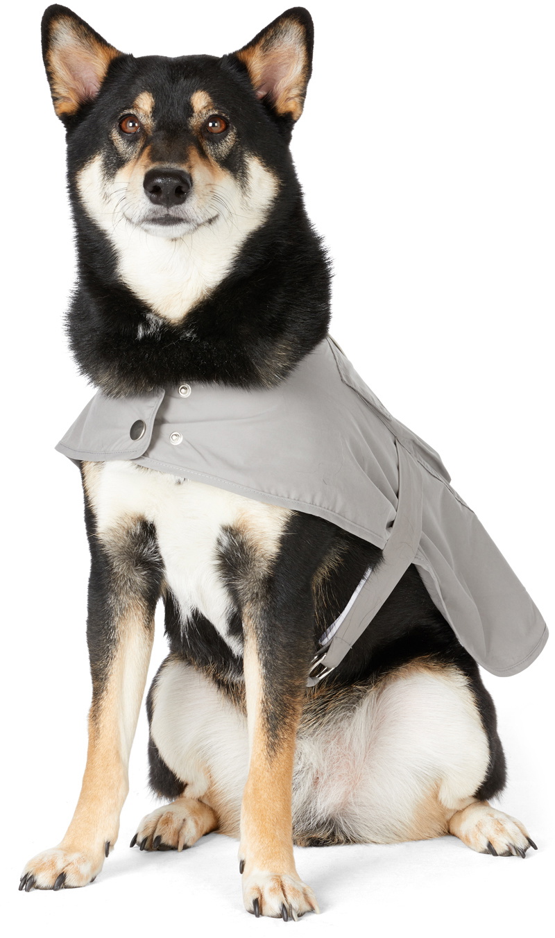 Ralph lauren sale dog trench coat