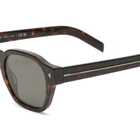 Prada Eyewear A16S Sunglasses in Tartaruga Radica/Dark Grey 