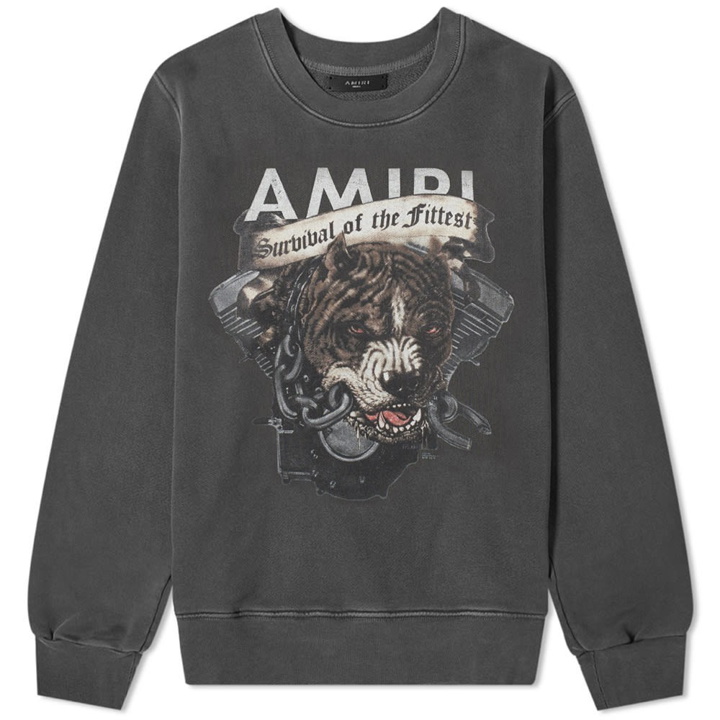 Photo: AMIRI Pitbull Crew Sweat