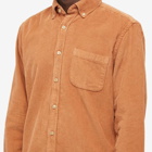 Portuguese Flannel Men's Lobo Button Down Corduroy Shirt in Brick