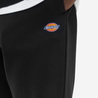 Dickies Men's Mapleton Sweat Pant in Black
