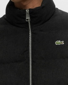 Lacoste Blouson Black Down & Puffer Jackets