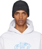 Dime Black & Gray Classic Rib Beanie
