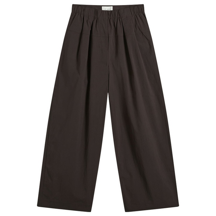 Photo: ST. Agni Women's Relaxed Pleat Pants in Bark